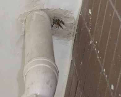 海淀漏水检测哪家好